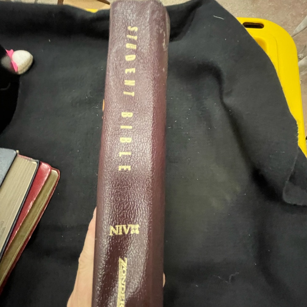 Student Bible NIV